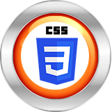 css3